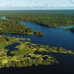 Natur Vision Filmfestival