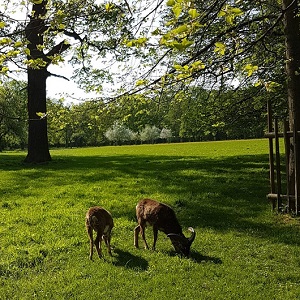 Favorite-Park Ludwigsburg