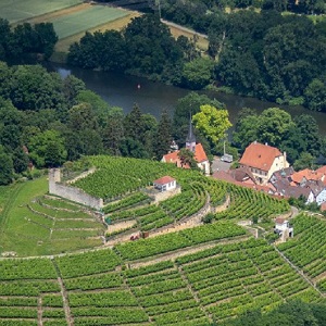 Burg-Ruine Alt Hoheneck Ludwigsburg