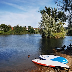 Neckar-Ufer Hoheneck